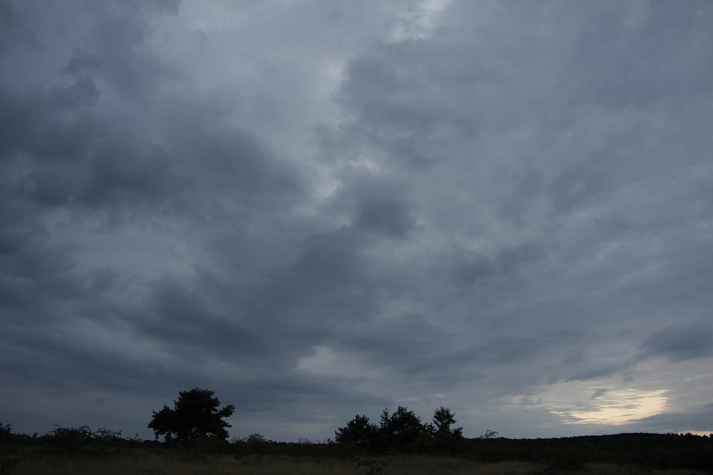 Resize of _MG_2330.JPG